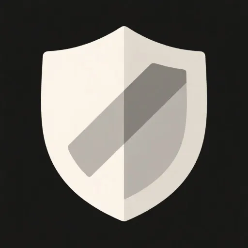 安全与隐私说明